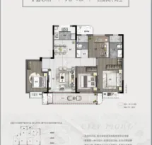 中南祥生宸光集户型信息1