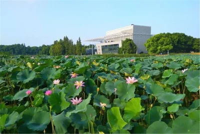 高速菱湖公馆房价6