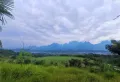 旭生·国韵壹号楼盘图16