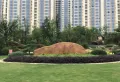 通源新建城·城立方楼盘图11