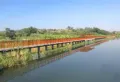 两英碧桂园楼盘图13