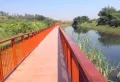 两英碧桂园楼盘图14