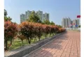 会龙山·溪谷楼盘图28