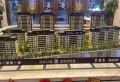 中天·玖樾府楼盘图4