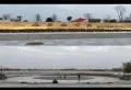 港龙·湖山映楼盘图15