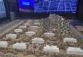 万科常春藤楼盘图6