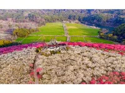 阳光锦上花园房价10