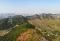 万科如园楼盘图17