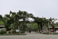 碧桂园星悦时代户型图24