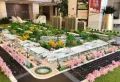 泰康誉景楼盘图2
