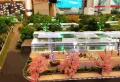 泰康誉景楼盘图17