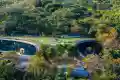 中信城开红树湾户型图