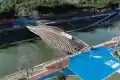中信城开红树湾户型图