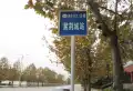 紫荆城楼盘图1