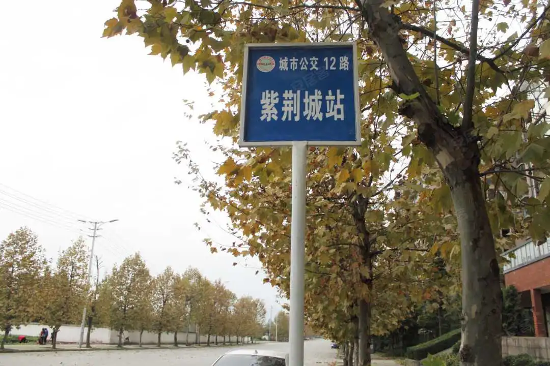 紫荆城楼盘图