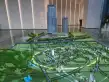 顺泰中晟大厦户型图
