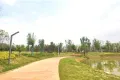 金鹏琅琊玖玖广场·琅琊ONE户型图