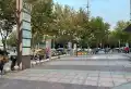 颛桥紫薇花园（左岸）楼盘图13