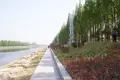 中国铁建青秀学府户型图