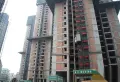 望龙东郡楼盘图7