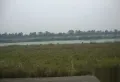 愿景西江尚善楼盘图42