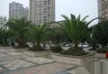 愿景西江尚善楼盘图27