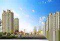 中南世纪城楼盘图8