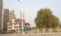 铜锣湾户型图