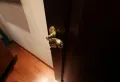株洲恒大华府楼盘图64