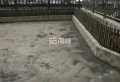 整租领地一期2室1厅1卫精装8