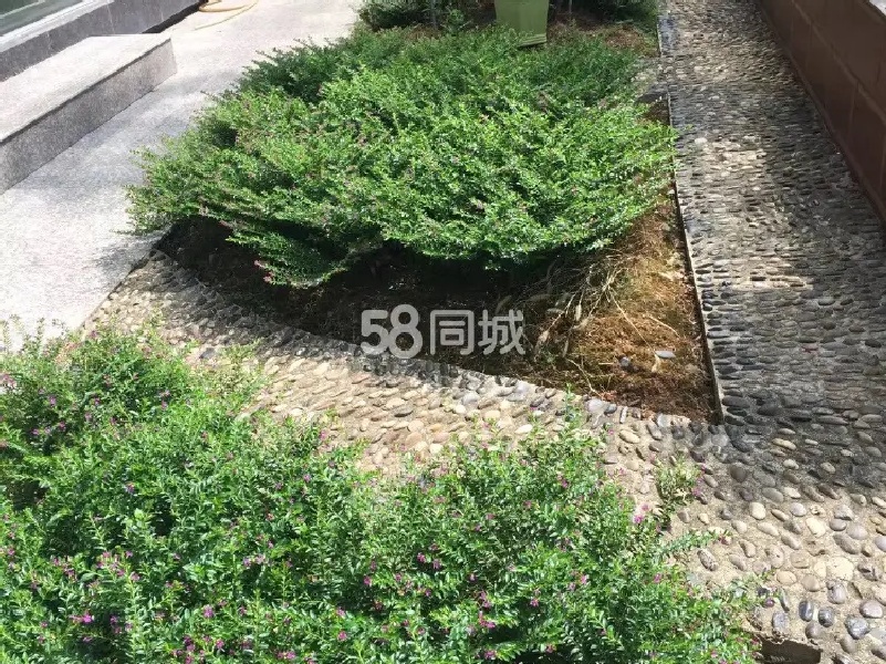 阳光花园二期,市中心阳光二期 一楼精装三房带院子 家具家电齐全出租!6