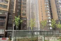 上海市场 春华郎城  精装三室  拎包入住 家具家电齐全10