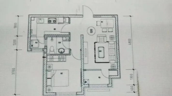 赵卜口新村正规一室一厅拎包入住随时看房照片真实