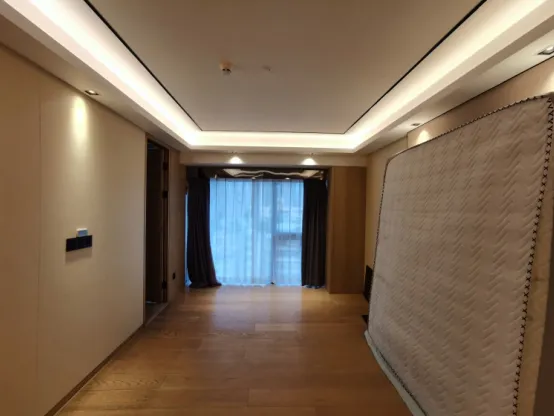 深圳湾公馆2室2厅3卫朝西毛坯房源图片
