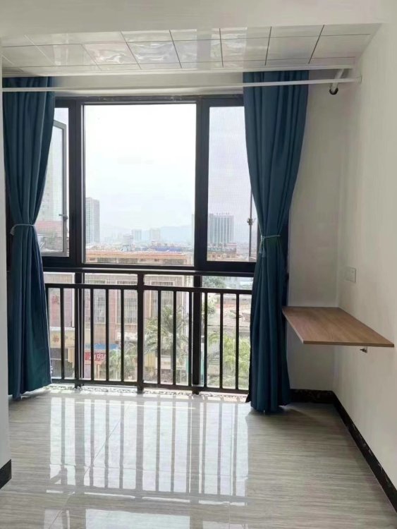 瑞峰国际经典小公寓 全新装修 出租拎包入住-财富广场二手房价