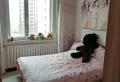 精装2室2厅1卫0阳台真漂亮，错层设计真时尚！7