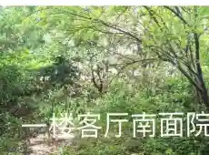 屯溪区|黄山碧桂园5室2厅3卫出售