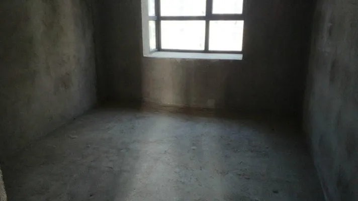 碧桂园府河琴韵，白云湖学校对面