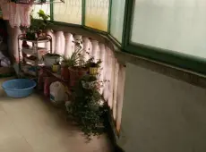 源汇区|金龙花园3室2厅1卫出售