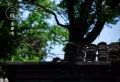 海情丽都房2楼124平3室2厅1卫简装98万2