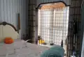 豫森时代新城3室2厅1卫6