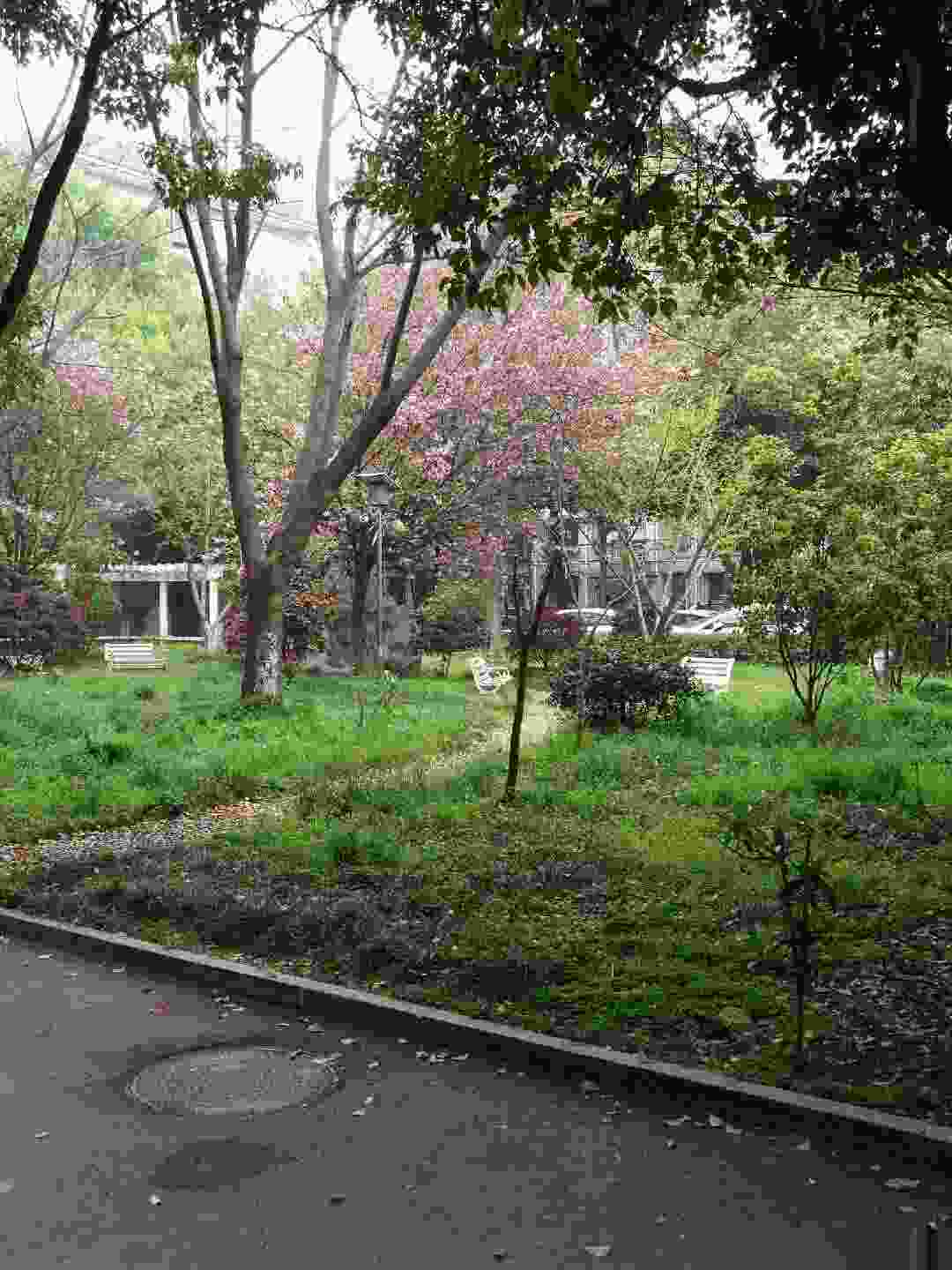 市粮食局家属院,粮食局家属院荆州街，校区房中学22中荆州街小学，医院菜场超市7