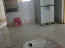 召陵区|二化家属院2室1厅1卫出售
