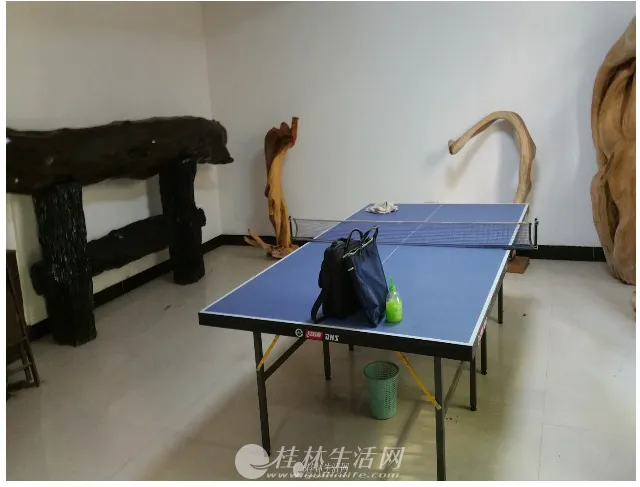 金地球市场旁红光新村别墅区小区欧式联体别墅