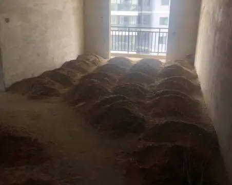 南城花园3室2厅2卫朝南毛坯