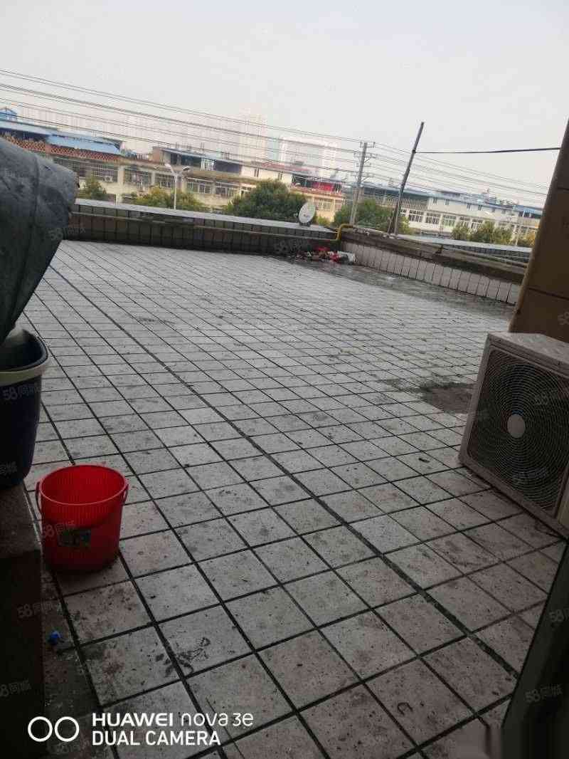 金叶名园,D调的奢华，金叶名园，欧式田园风，普通，地铁盘9