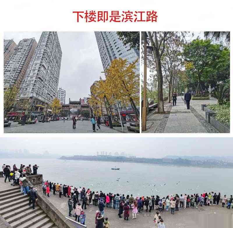 佳乐公寓,带屋顶花园性价比超高的年底特惠佳乐公寓3室2厅1卫12