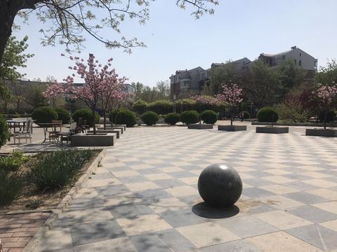 莲池区军校广场普通3室2厅2卫二手房出售9