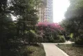 玖隆知汇华庭 104平米 819