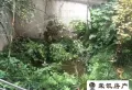 鸿兴花园 98.0平米 53.0万5